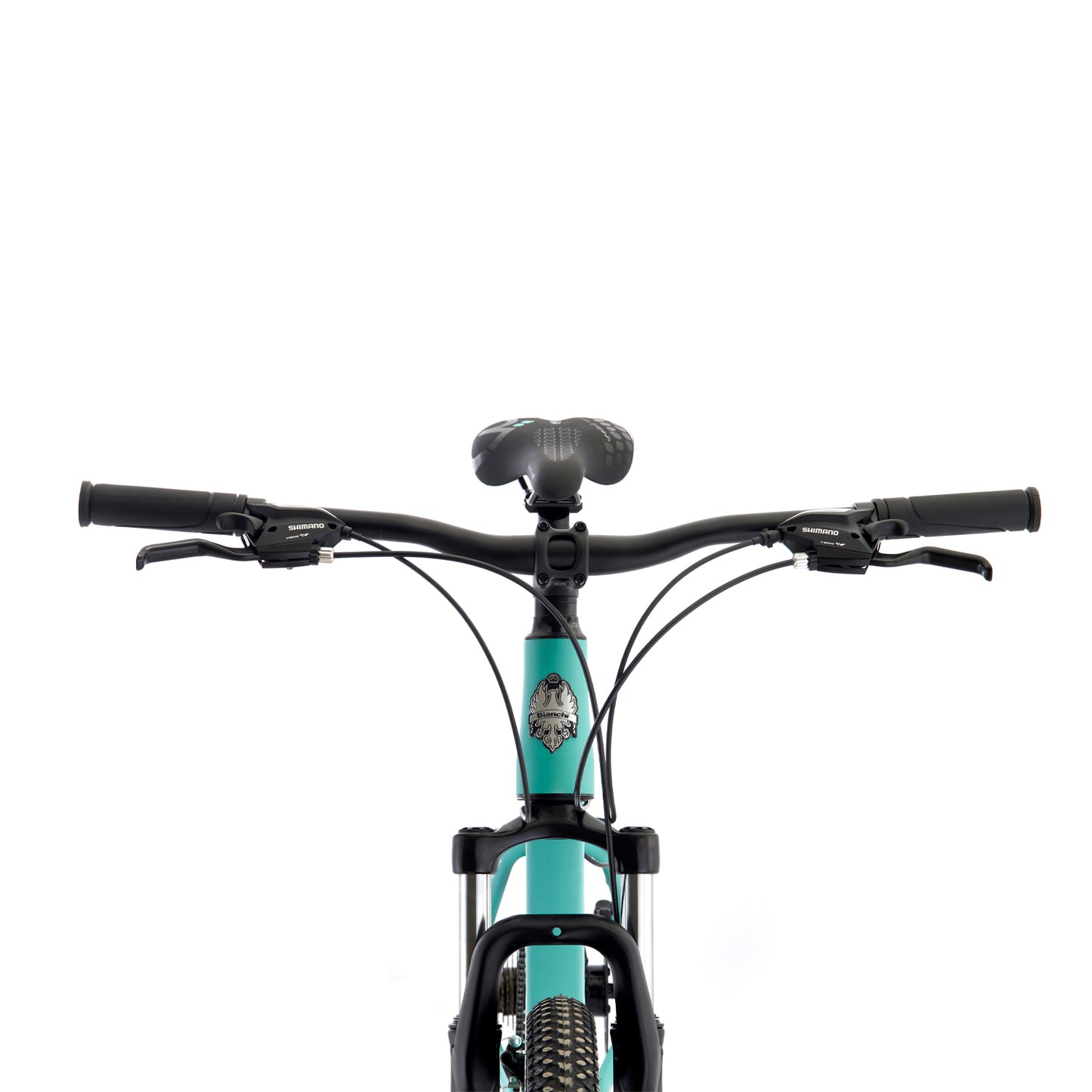 BICICLETA BIANCHI STONE MOUNTAIN 29 SX CELESTE SEMI MATTE