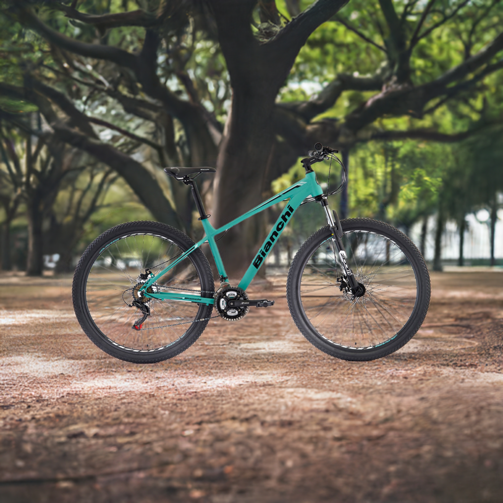 BICICLETA BIANCHI STONE MOUNTAIN 29 SX CELESTE SEMI MATTE