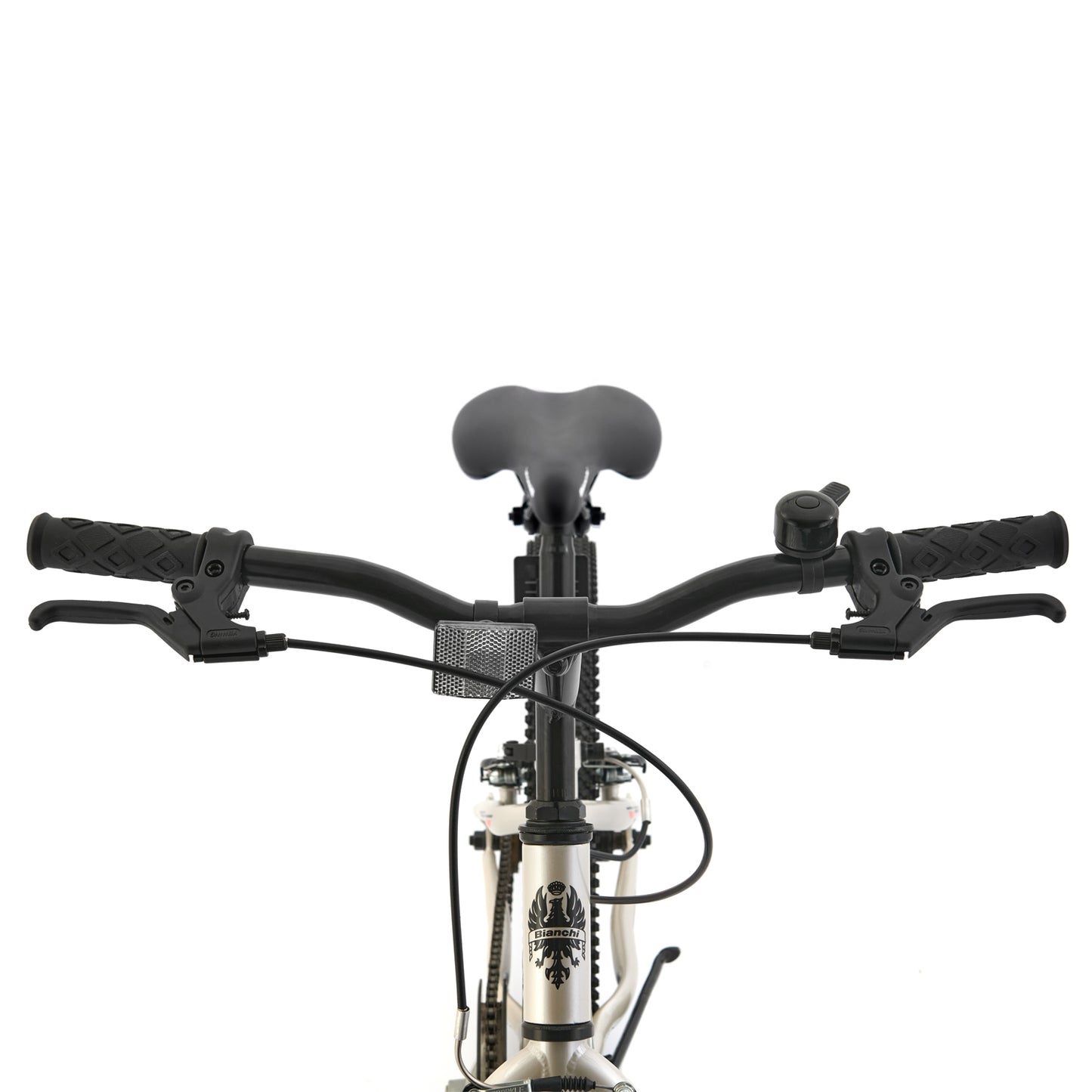 BICICLETA BIANCHI WOLF 20 ST PLATA