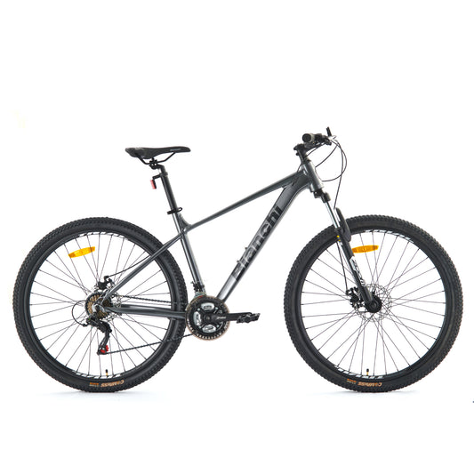 BICICLETA BIANCHI STONE MOUNTAIN 29 SX GRIS