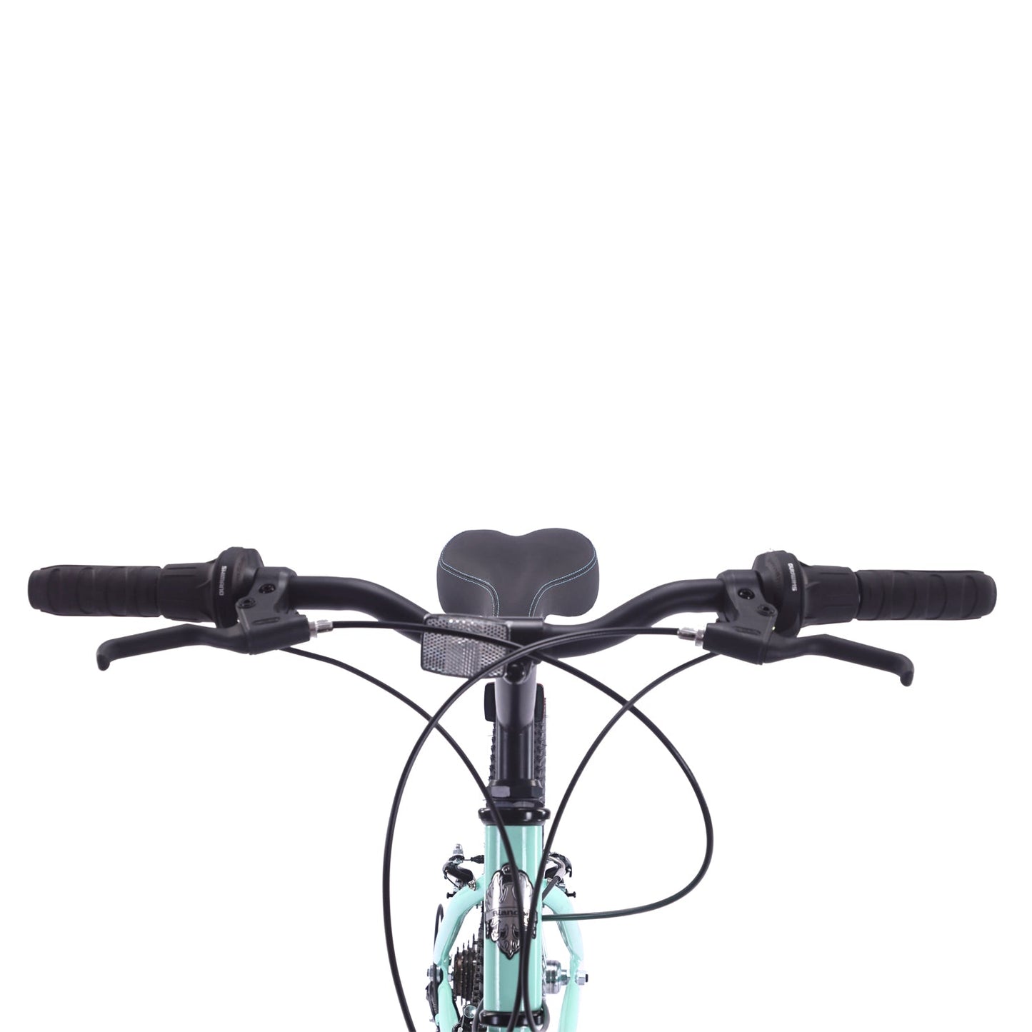 BICICLETA BIANCHI CLASSIC 24 VERDE CLARO Bianchi