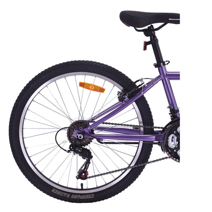 BICICLETA BIANCHI CLASSIC 24 LADY PURPURA Bianchi