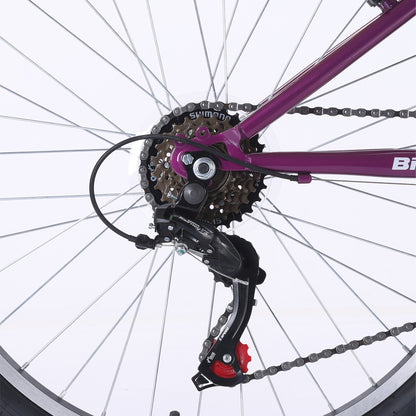 BICICLETA BIANCHI CLASSIC 24 LADY FUXIA