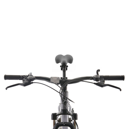 BICICLETA BIANCHI EVOLUTION 29 SX GRIS SEMI MATE