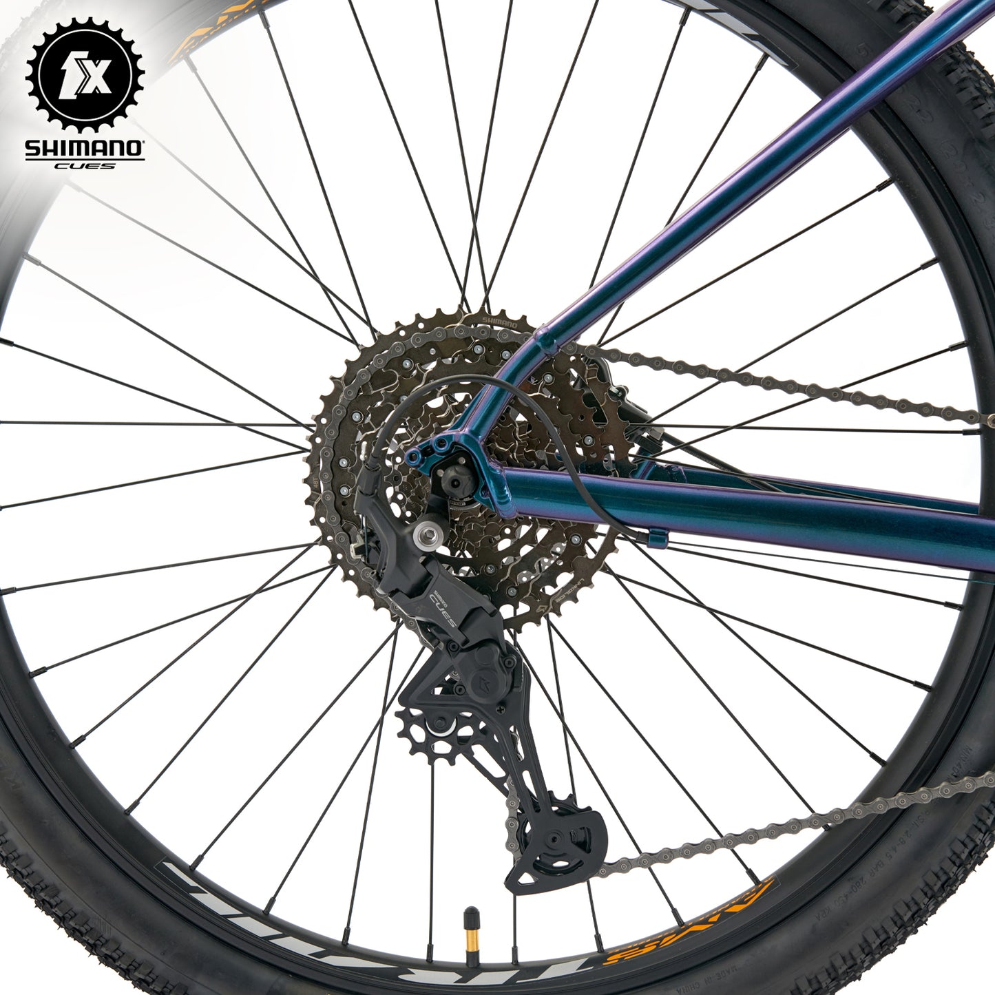 BIANCHI PEREGRINE 29 SX R9.1 - CUES - 1*10 - AZUL TORNASOL