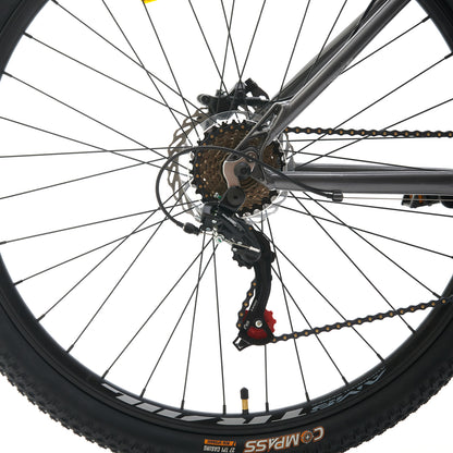 BIANCHI STONE MOUNTAIN 29 SX  R9.1 -  GRIS METALICO